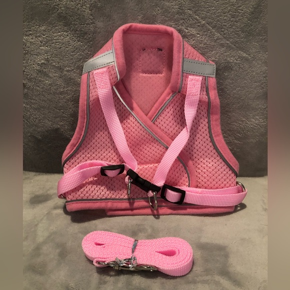 Dog harness and leash - Picture 2 of 3